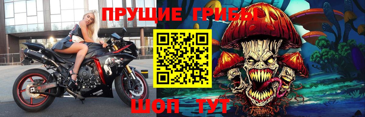 Ирбит  Псилоцибиновые грибы Psilocybe  Вход с VPN 