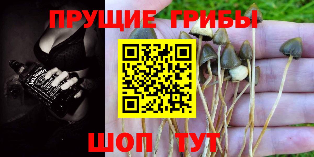 Галлюциногенные грибы мицелий Ирбит
